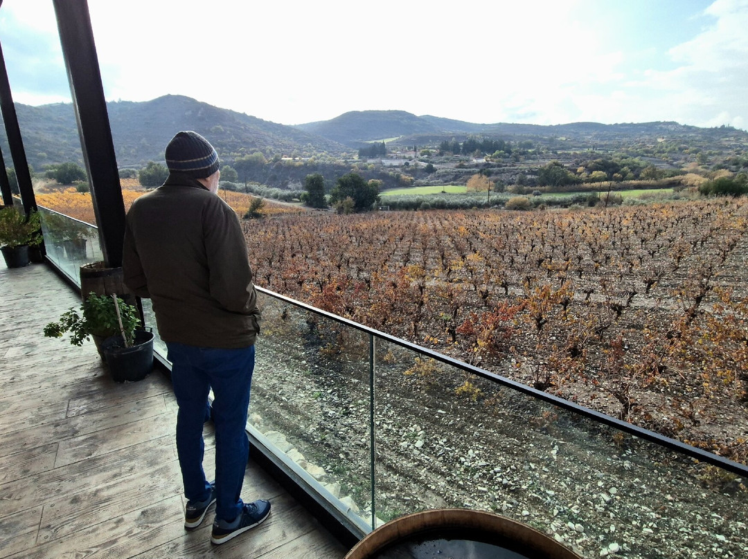 Ktima Christoudia Winery-拉纳加必去景点