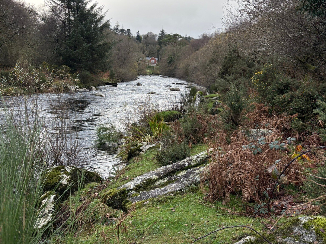 Ashburton Court Guest House主图