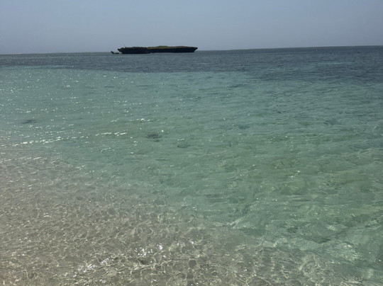 DALLOKY MAGNIFIQUES KENYA SAFARIS-蒙巴萨必去景点