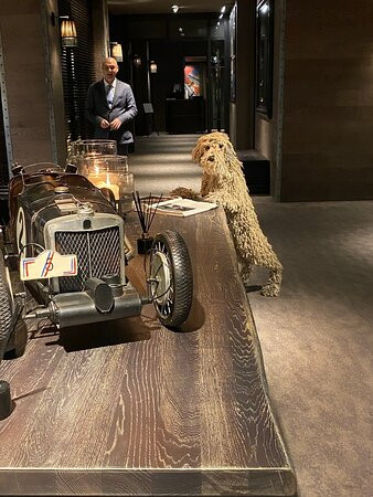 Dakota Manchester主图