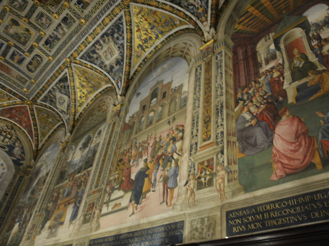 皮科罗米尼家族图书馆-锡耶纳必去景点