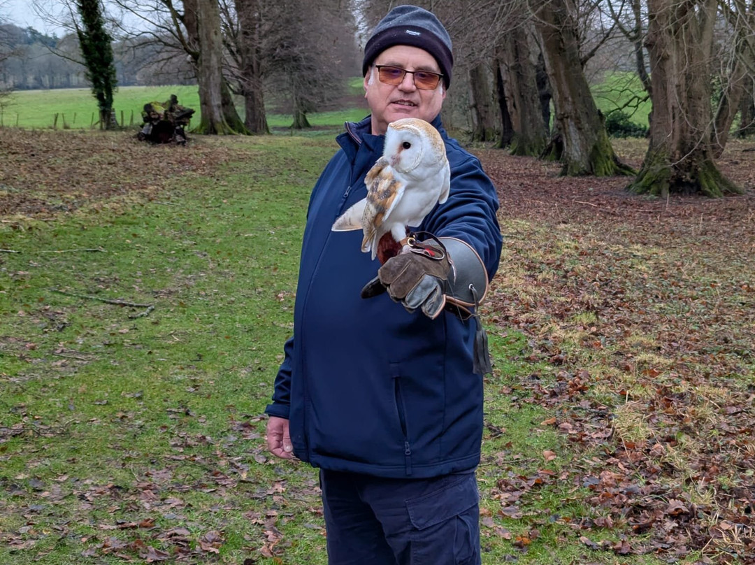 Hampshire Hawk Walks-Alton必去景点