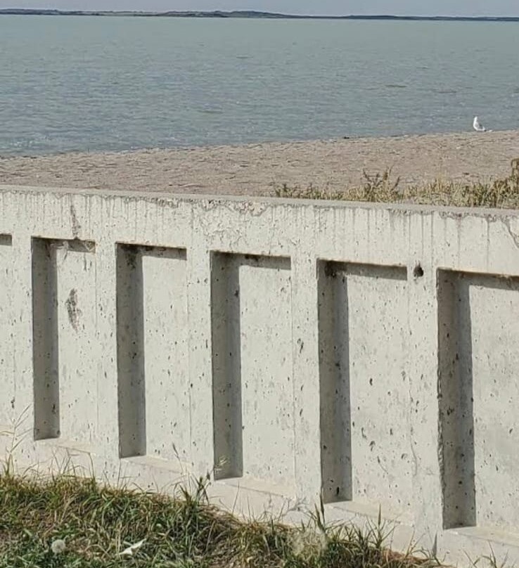 Cochin Public Beach-Cochin必去景点