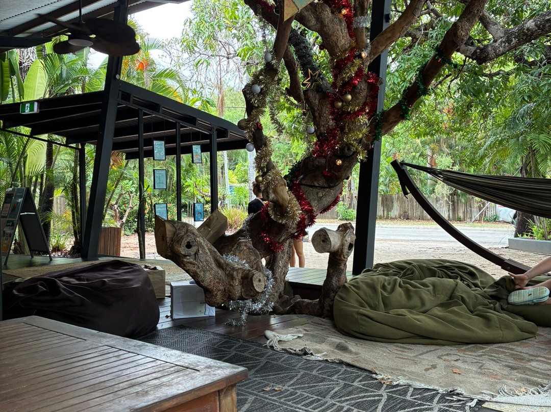 Selina Magnetic Island & The Koala Park-Horseshoe Bay必去景点