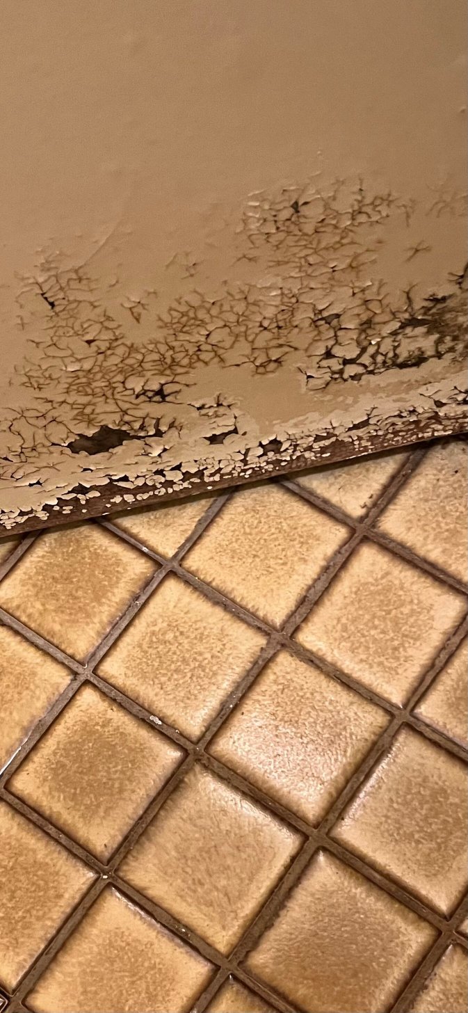 Donnybrook Motel-浴室