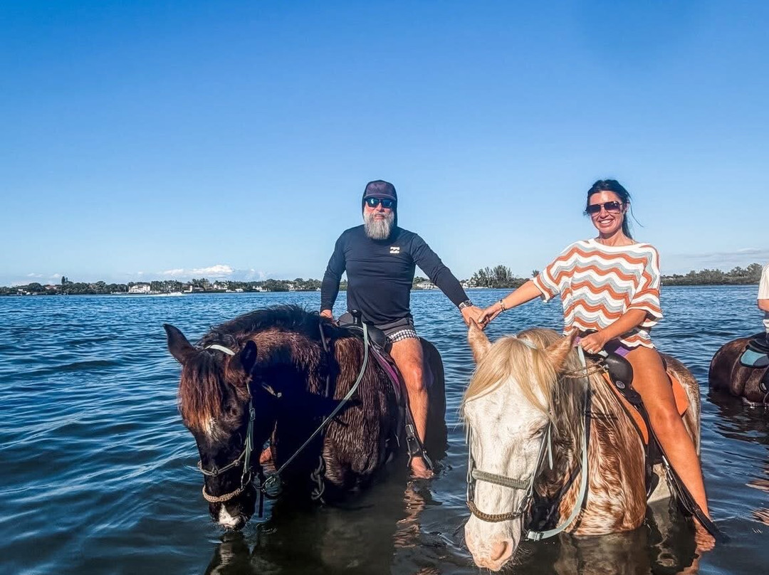 Florida Beach Horses-布雷登顿必去景点