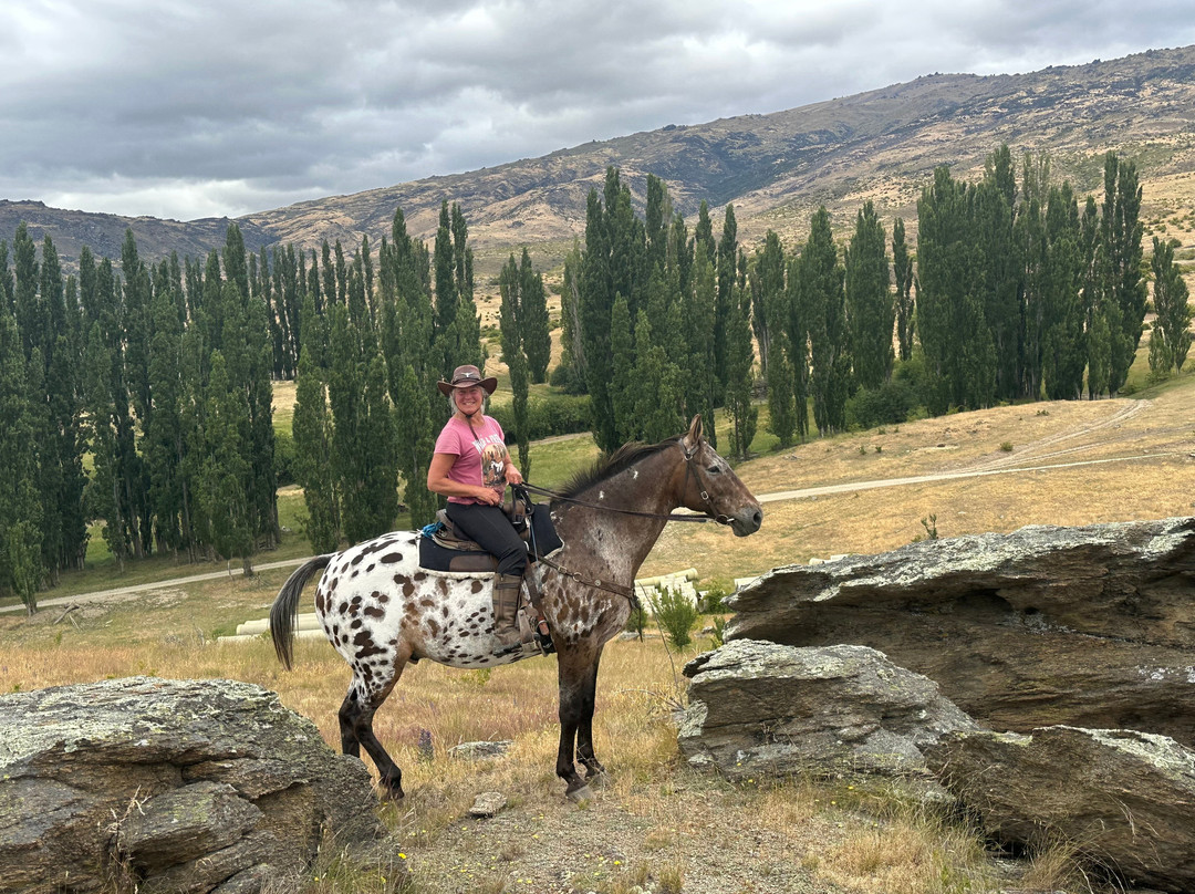 Back Country Saddles-卡德罗纳必去景点