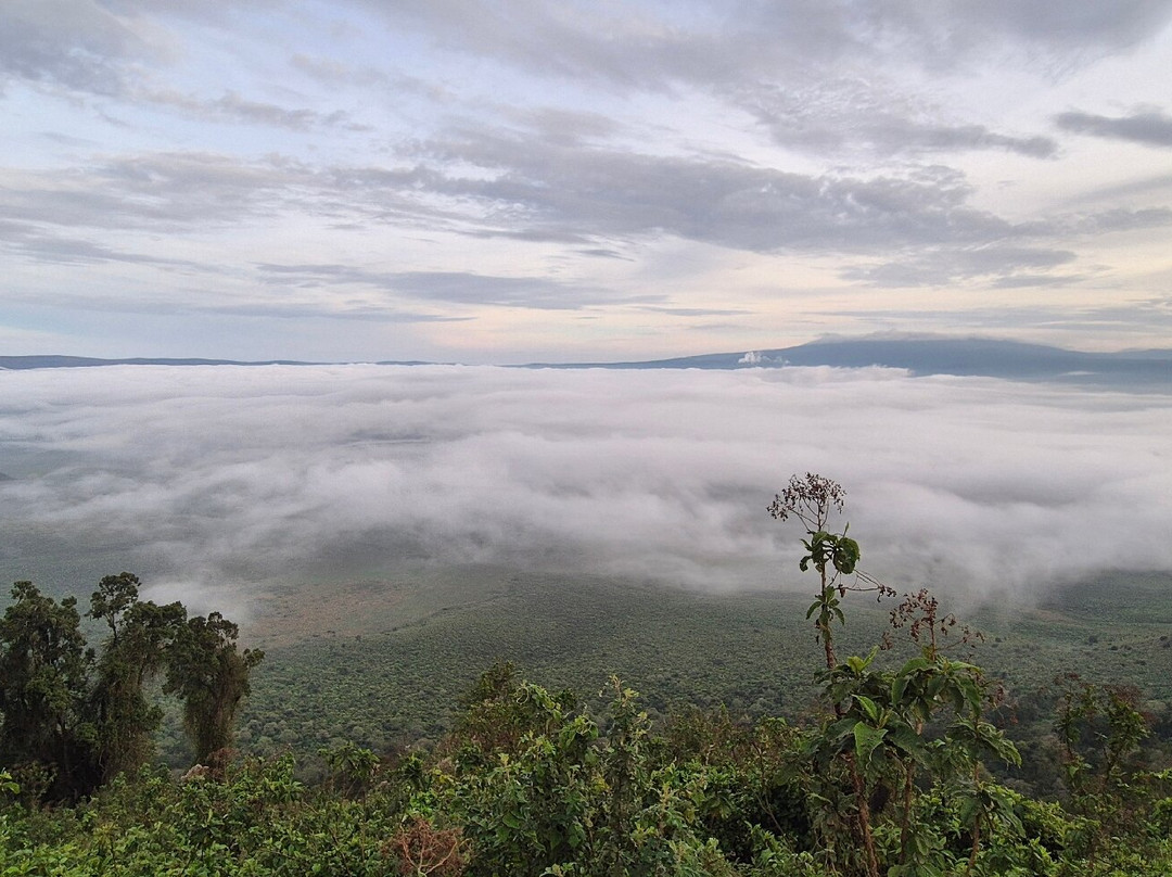 Fortes Africa-姆万扎必去景点