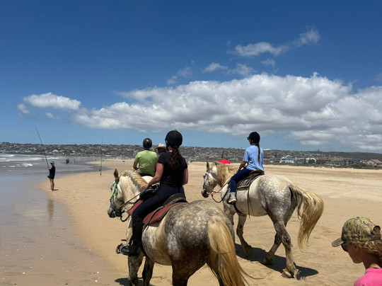 Featherfoot Beach Horse Trails & Riding School-杰佛瑞湾必去景点