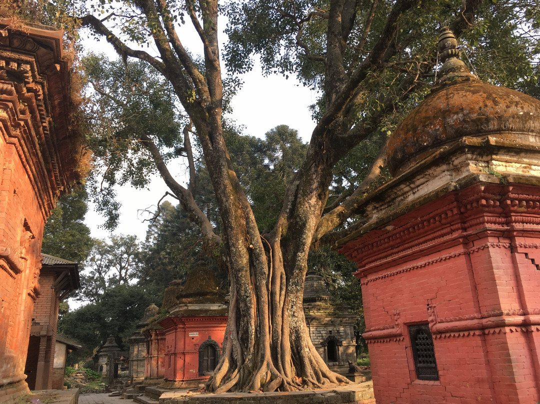 Plan Himalaya-加德满都必去景点