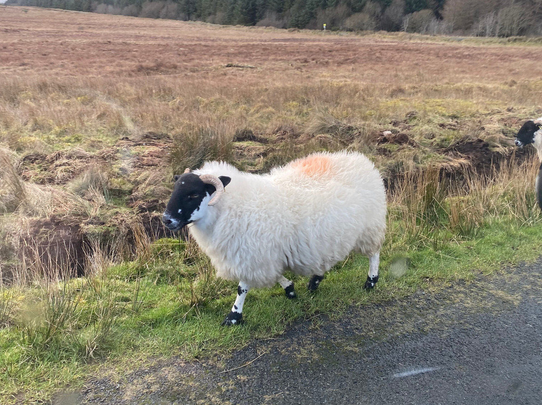 Mamore Gap-Clonmany必去景点