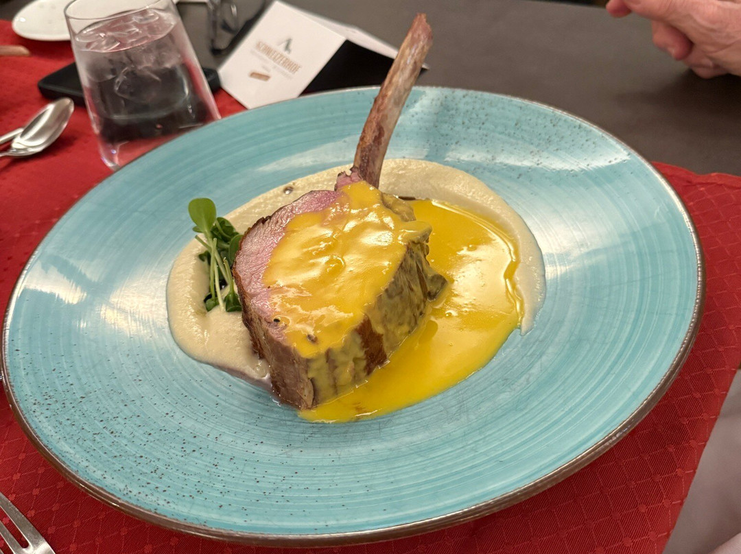 Aktivhotel Schweizerhof - Kitzbühel主图