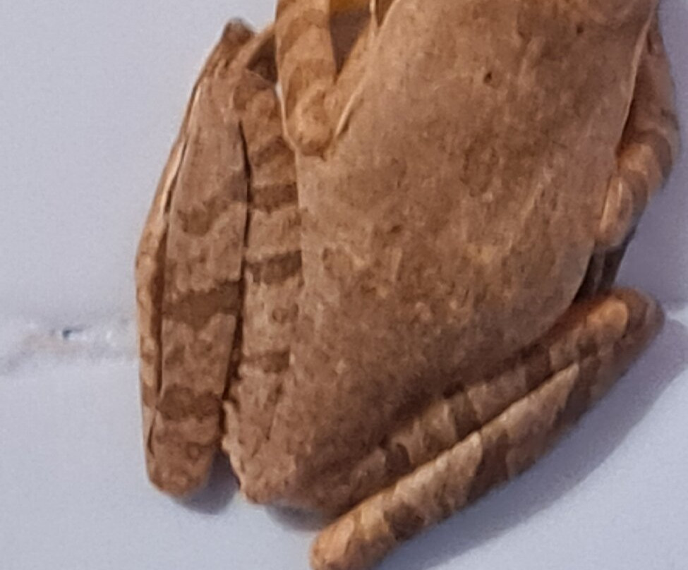 唐娜萨玛丽亚酒店主图