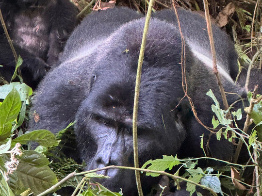 非洲冒险度假-坎帕拉必去景点