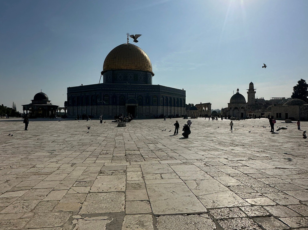 Tour with Dinur - Day Tours-耶路撒冷必去景点