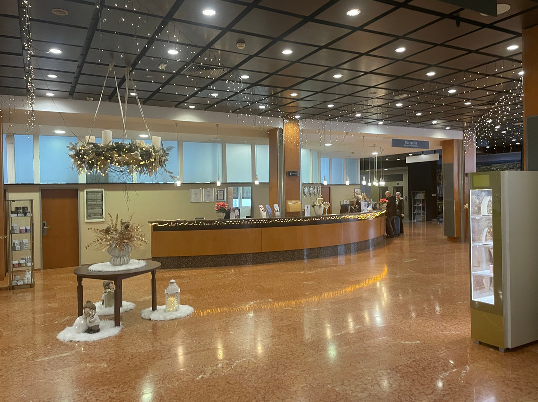 Radin Superior Hotel主图