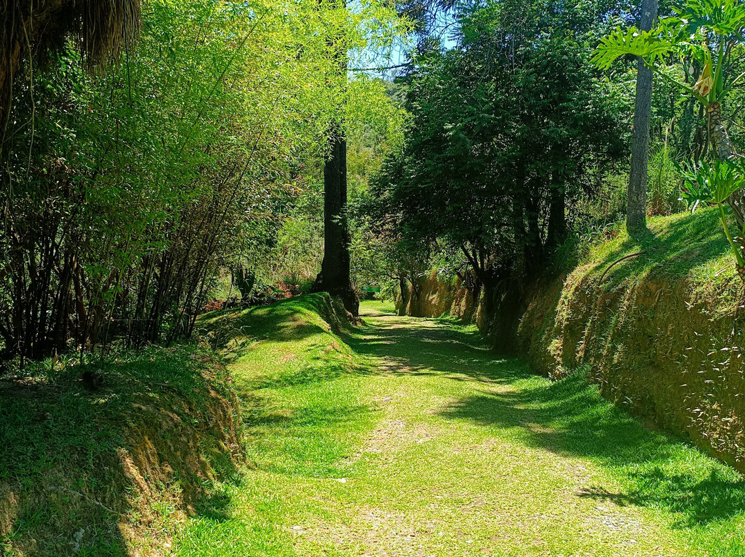 Cascada salto sete-Prudentopolis必去景点