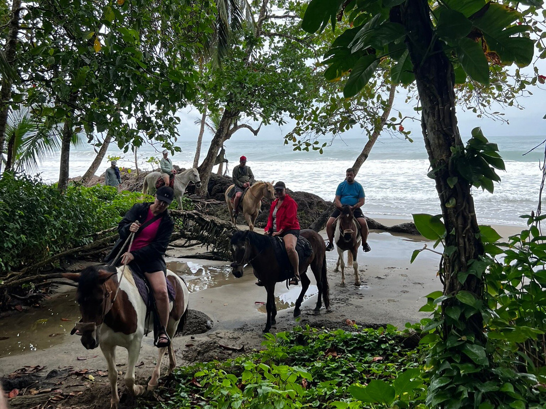Ride The Rainforest-旧港必去景点