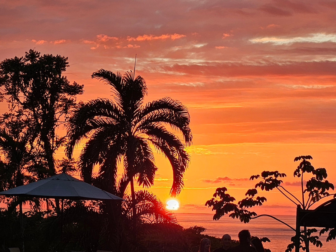 Serendipity Adventures-图里亚尔瓦必去景点