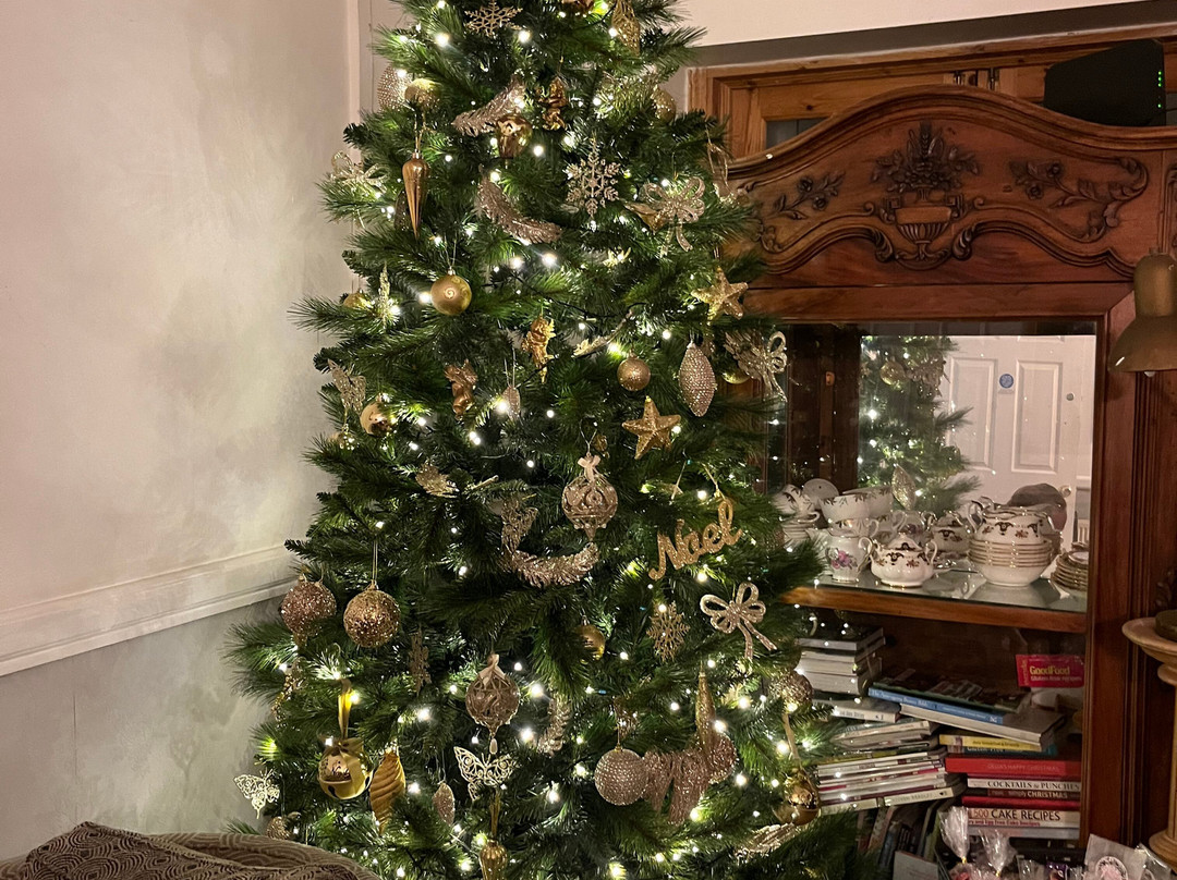 月桂树别墅酒店主图