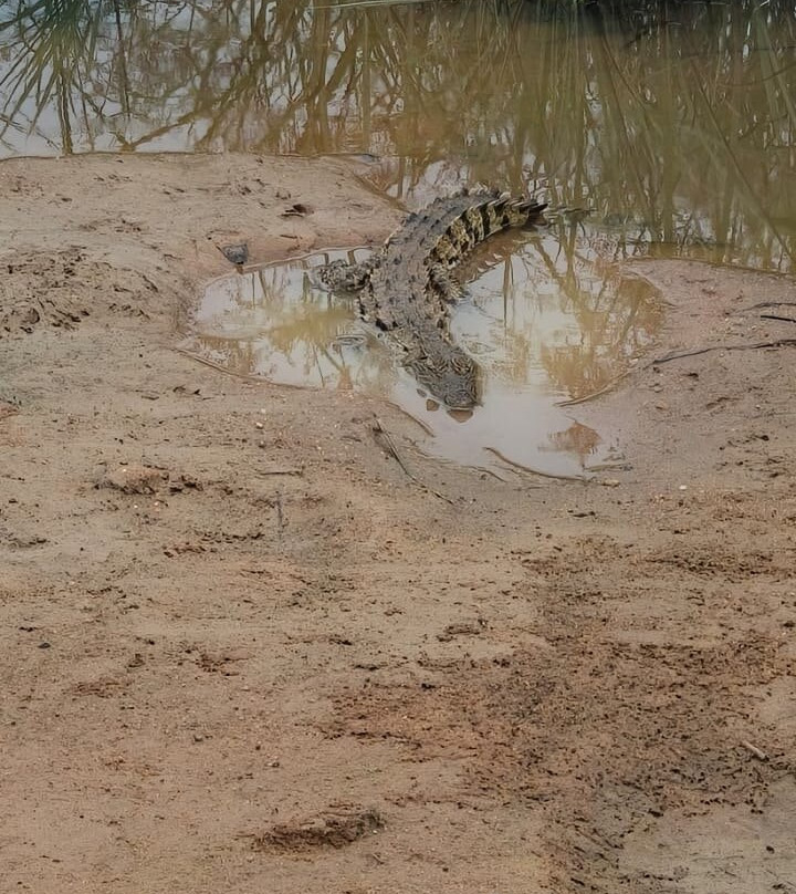 Udawalawe Lahiru Safari Guide Tours-乌达瓦拉维国家公园必去景点