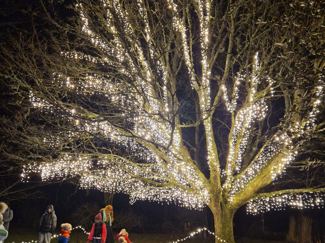 Light Up Trails-罗姆西必去景点