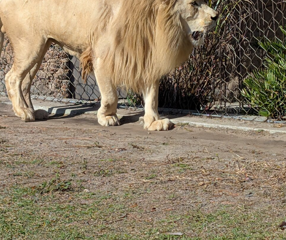 Zoo World Zoological Park-巴拿马城海滩必去景点