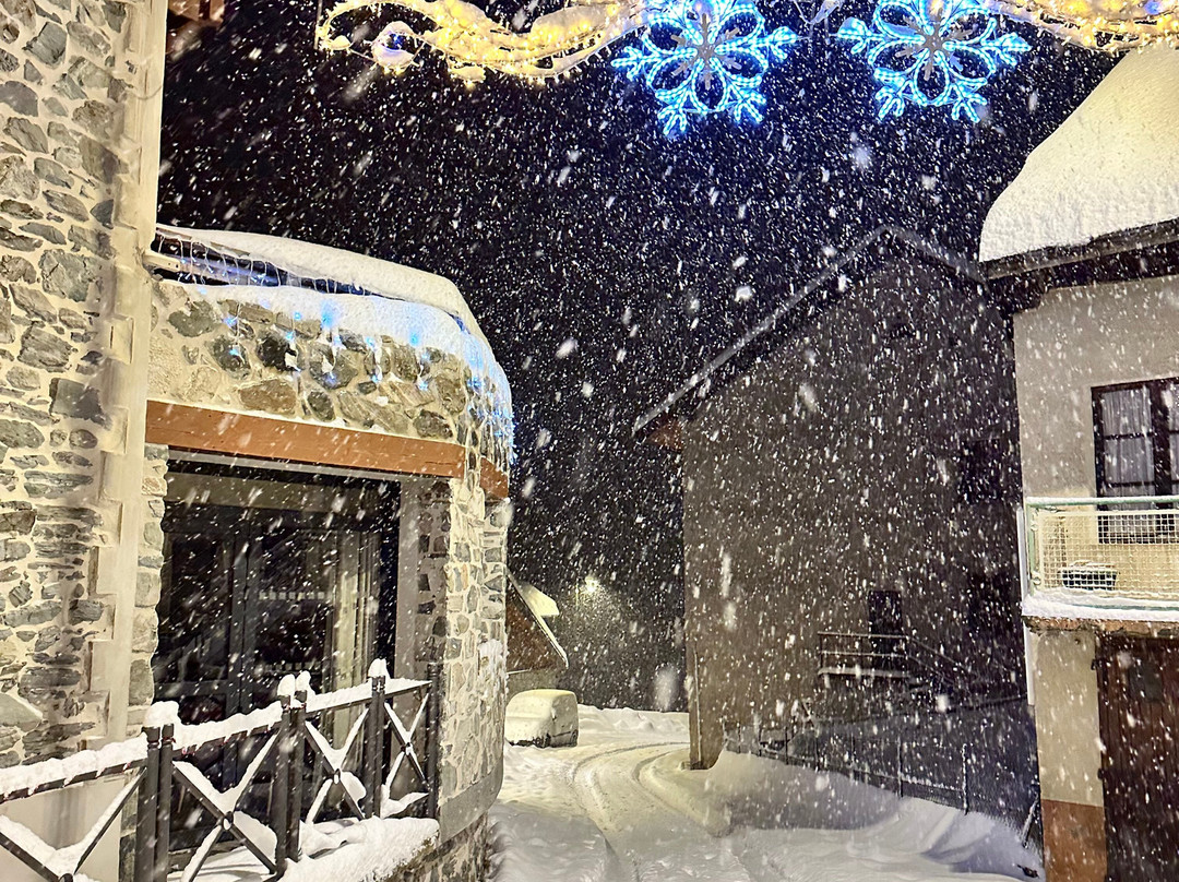 Hôtel & Restaurant Les Cimes - Madame Vacances主图