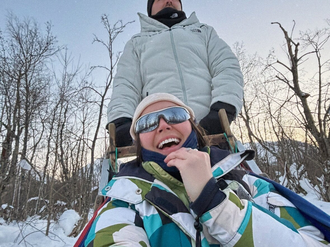 Northern Light Dog Adventure-Nordkjosbotn必去景点