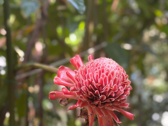 Greenland Spices & Ayurvedic Garden-Thokkupara必去景点