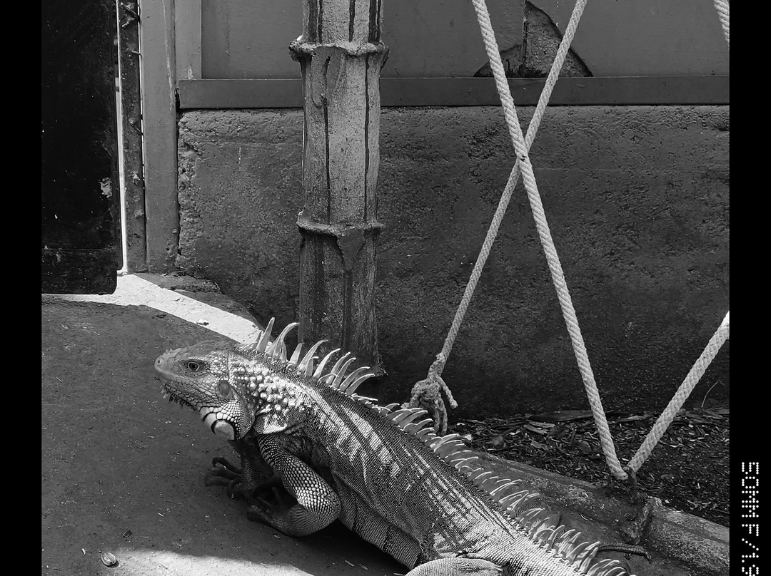 Fundera Park-Yelagiri必去景点