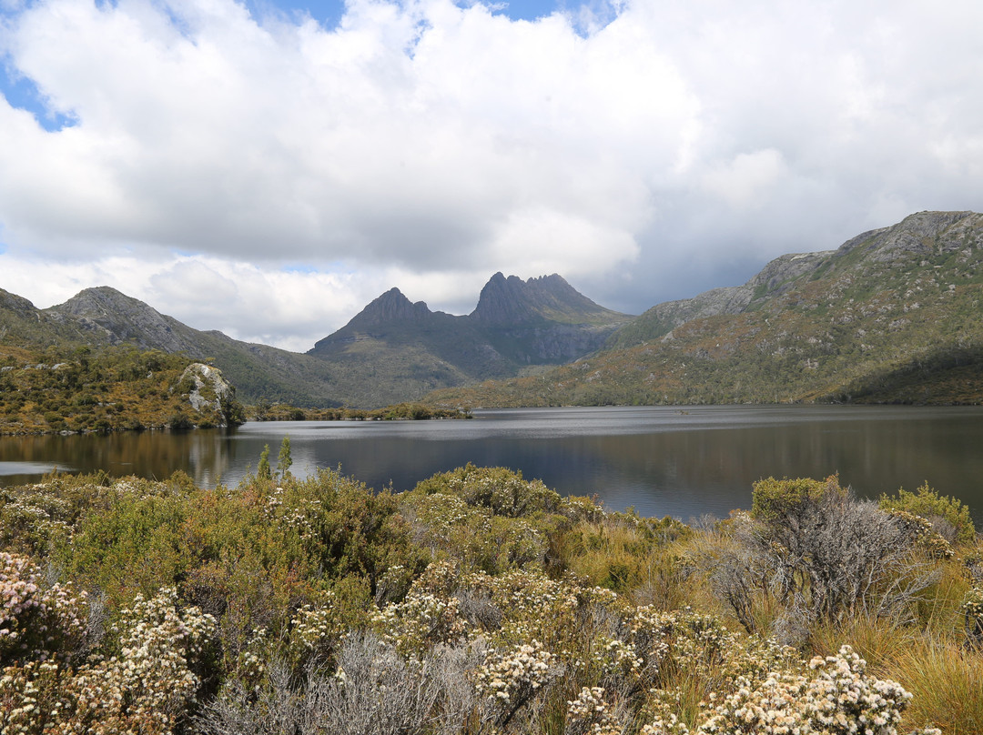 摩根湾度假村主图