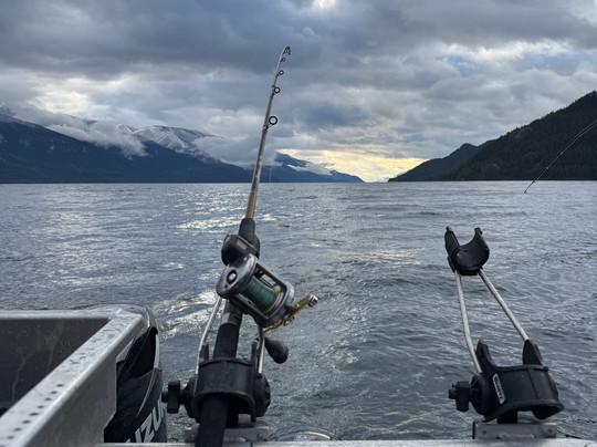 Reel Adventures Sportfishing-Nelson必去景点