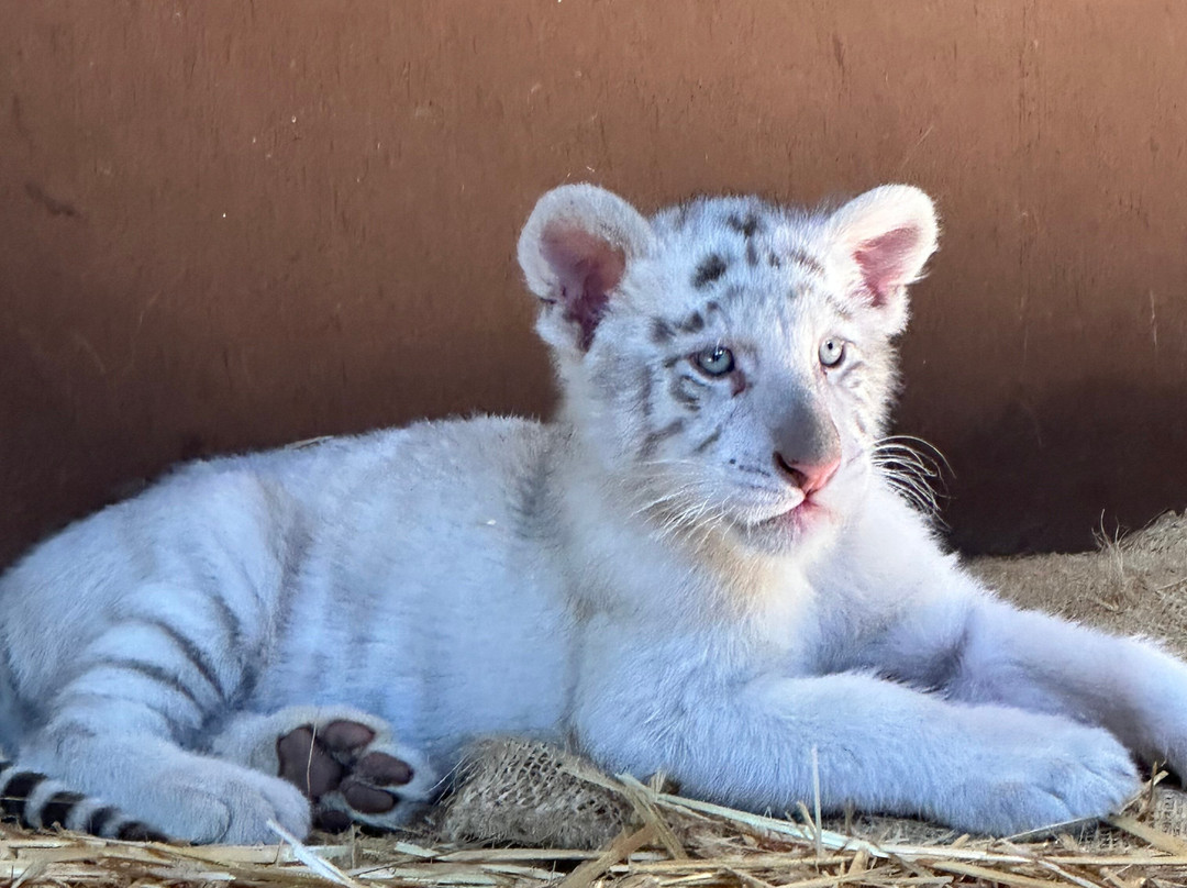 Pai Pai Ecotourism Park-恩塞纳达必去景点