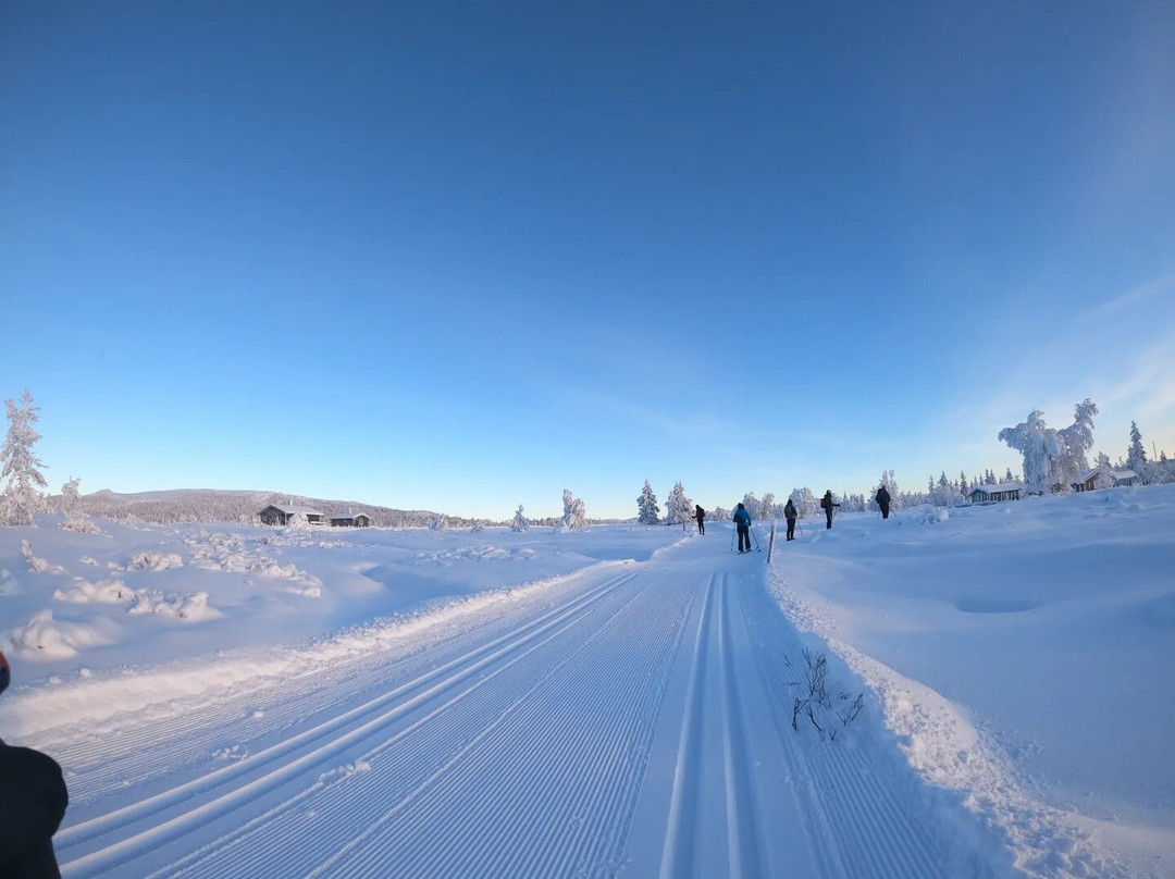 Venabu Fjellhotell og Hytter主图
