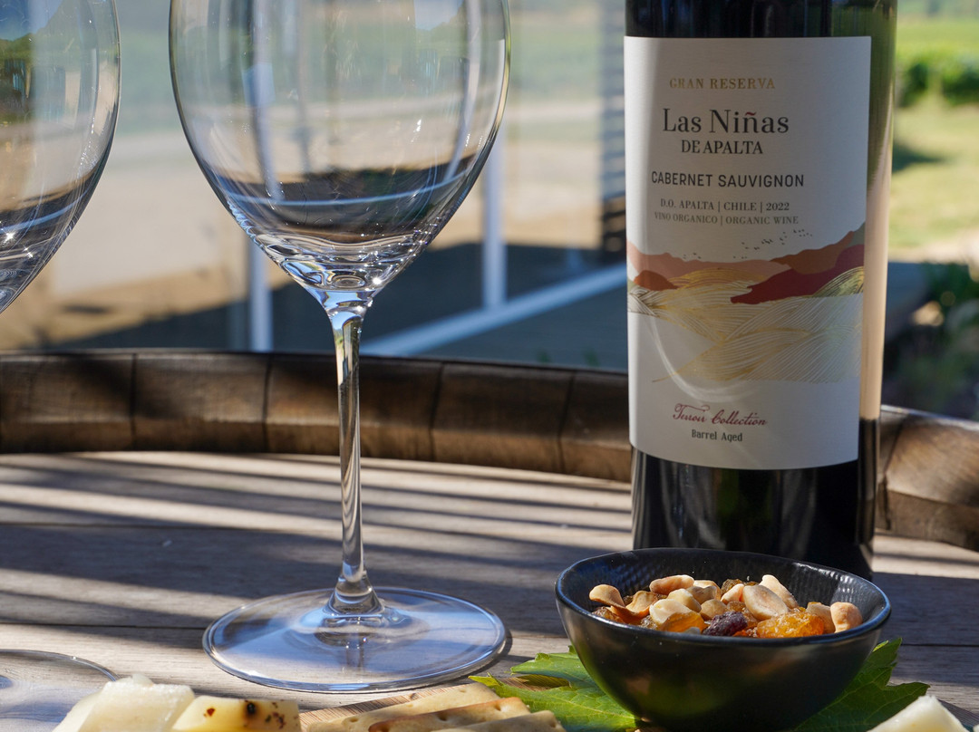 Viña Las Niñas-圣克鲁斯必去景点