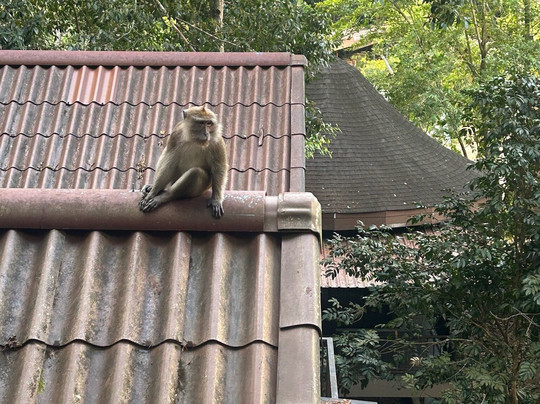 岩石树屋度假酒店主图