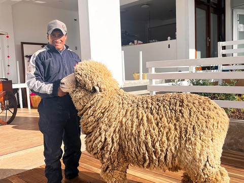 Taller De Arte Textil Rodríguez-塔玛必去景点