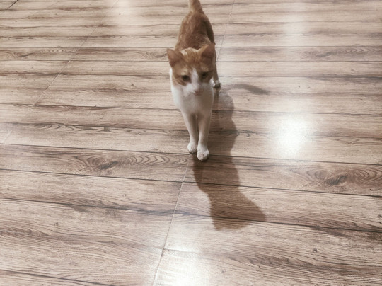 Amadi Beachfront Resorts主图