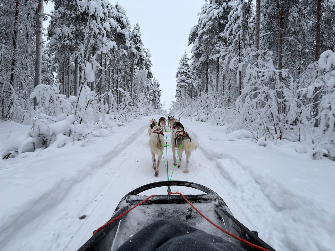 Eanan Levi Tours-Levi必去景点