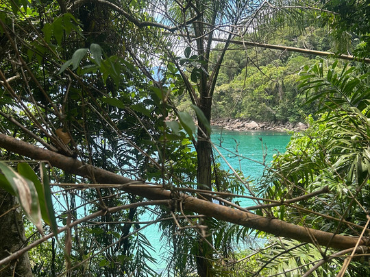 Ilha Das Couves-Picinguaba必去景点