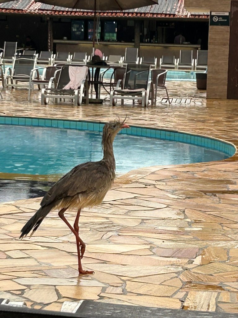 Hotel Fazenda Hipica Atibaia-官方