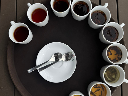 Oak Ray Tea Factory & Museum-拉马伯达必去景点