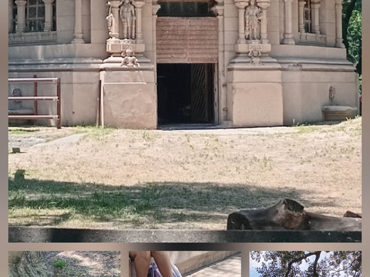 Eco Parque-布宜诺斯艾利斯必去景点