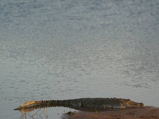 Mahaweli Tours & Holidays-尼甘布必去景点