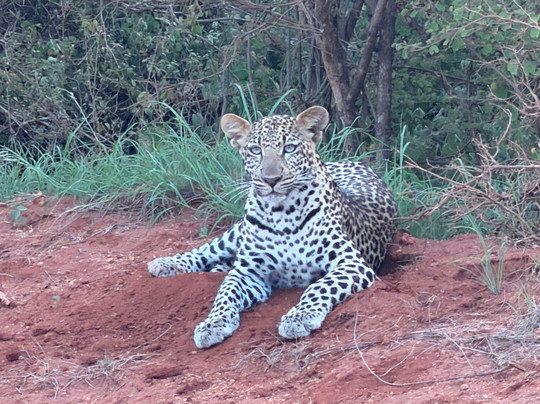 Nero Guida Turistica-瓦塔木必去景点