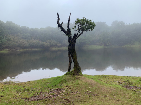 RMK Tours-马德拉群岛必去景点
