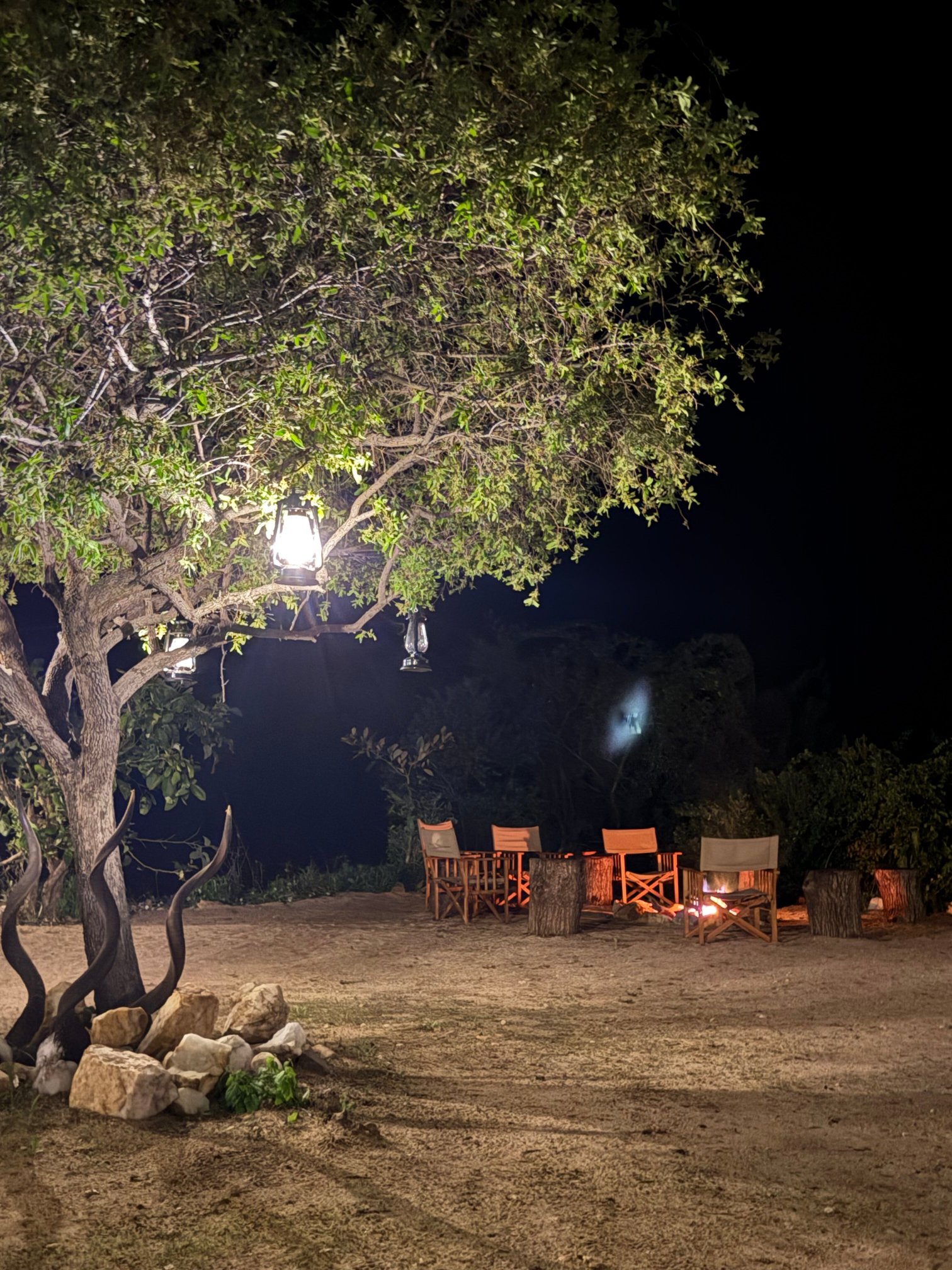 Kigelia Ruaha-官方