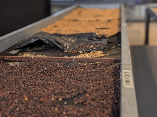 Iwanna Boquete Tours-波魁特必去景点