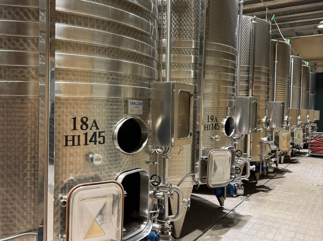 Castiglion del Bosco-蒙塔尔奇诺必去景点